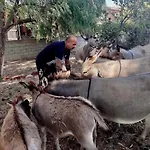 Santa Lucia * Tratalias