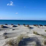 Santa Lucia *