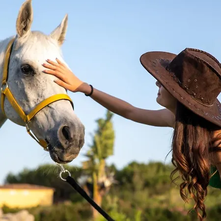 Santa Lucia ファームステイ