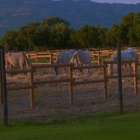 ファームステイ Santa Lucia *