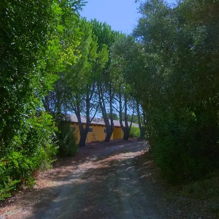 Santa Lucia * Tratalias