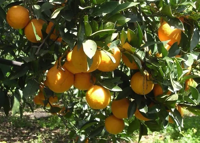 Santa Lucia * Tratalias