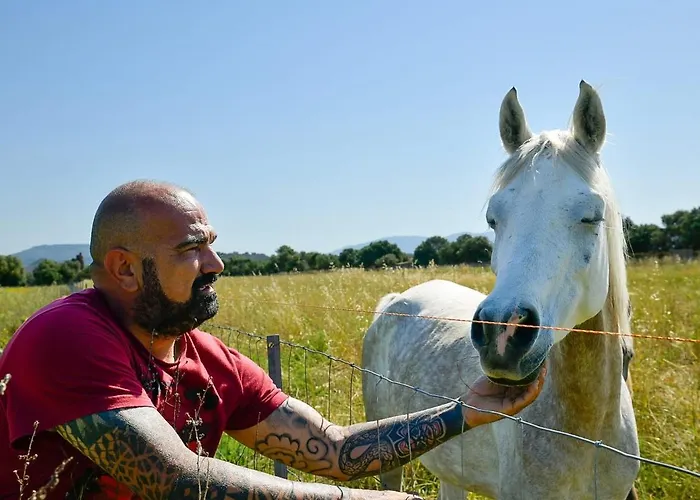 Santa Lucia Фермерский дом Tratalias