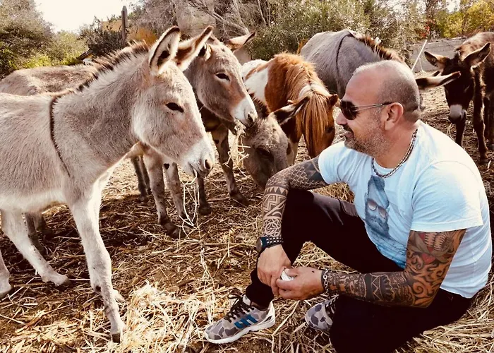 Santa Lucia Фермерский дом Tratalias