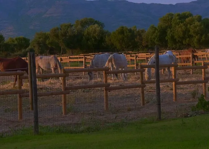 Фермерский дом Santa Lucia *