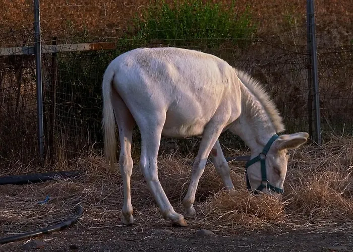 Фермерский дом Santa Lucia *