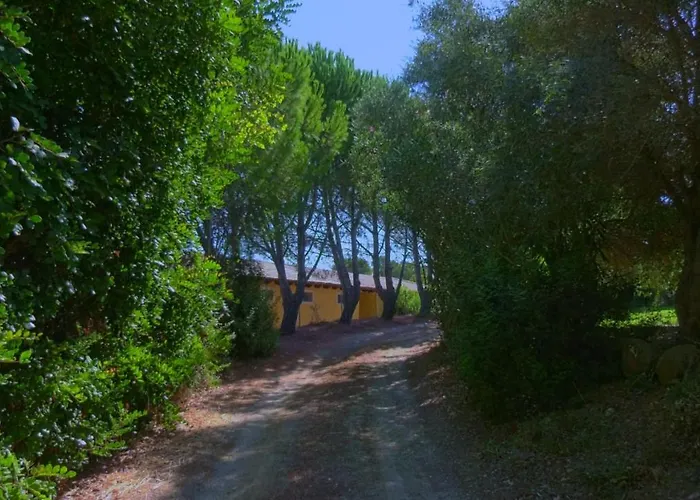 Santa Lucia * Tratalias